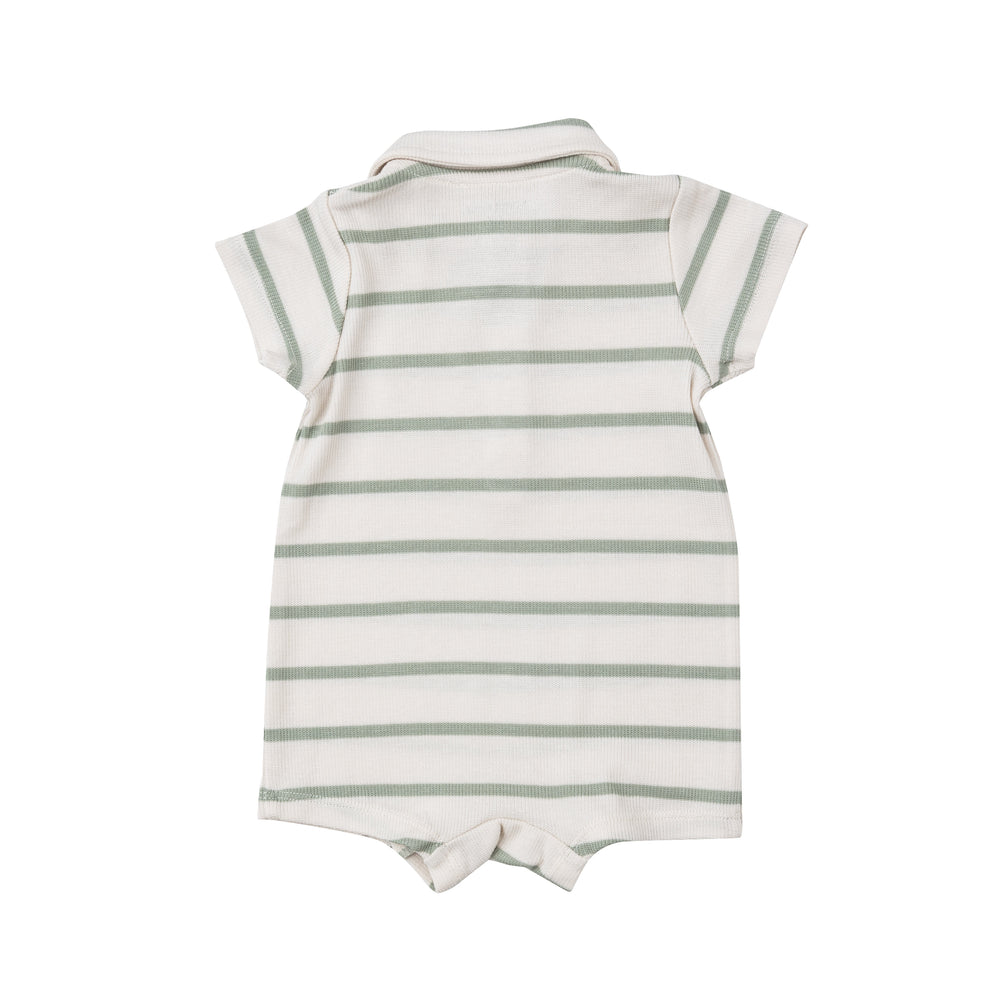 
                      
                        Desert Sage Striped Polo Rib Shortie
                      
                    